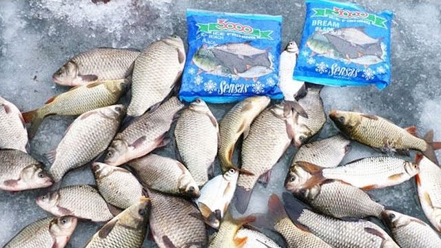 Ловля карася и плотвы зимой