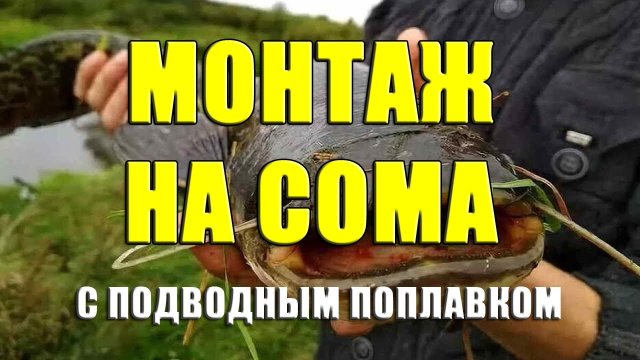 Монтаж на сома с подводным поплавком своими руками. Поводок для ловли сома