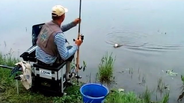 Рыбалка с Поплавочной Удочкой. "О Рыбалке Всерьез".