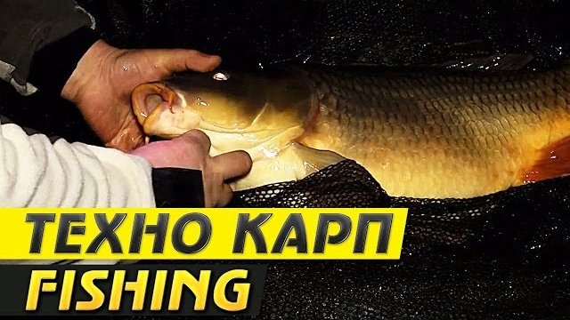 Техно Карп Fishing. Особенности Ловли Карпа Осенью. Охота за Монстром. Эпизод 7.