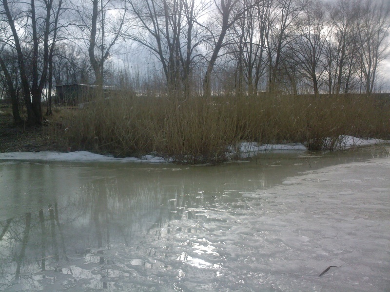 Пришла весна. 21.03.2012