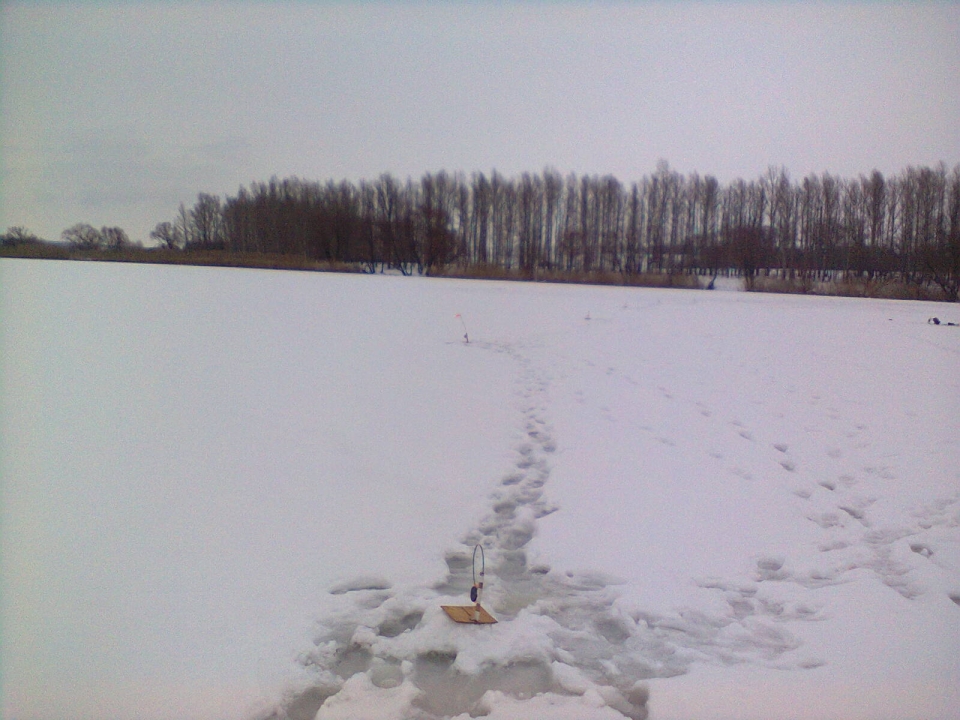 01.02.2013г