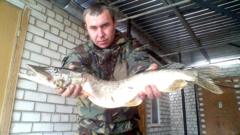 на рыбхозе