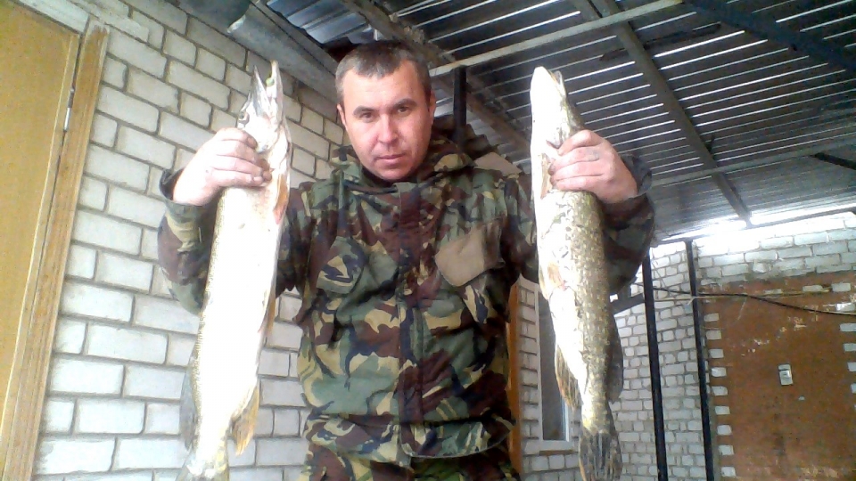 на рыбхозе
