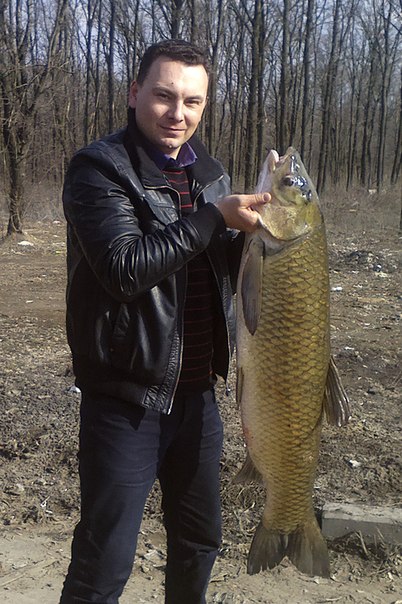 амур 14.750 кг