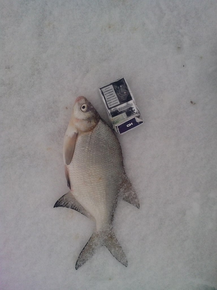 самая крупная 09.02.2014