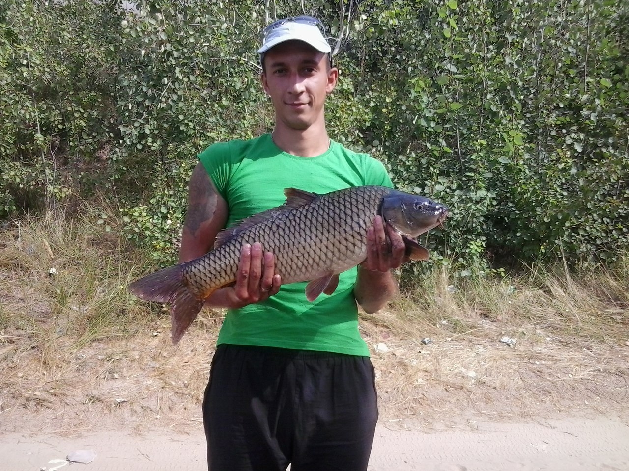 карп 3.7 кг 17.08.2014