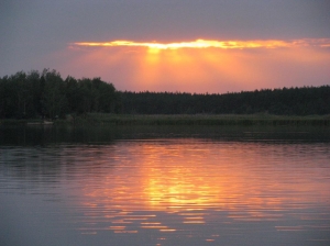 838