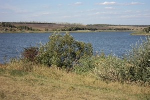 95