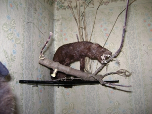 1249