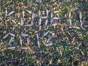1280
