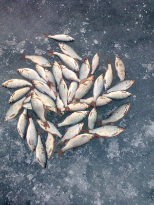 1450