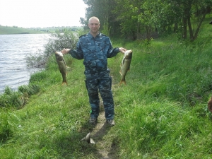 Уловчик