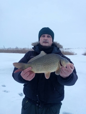 зимний карп