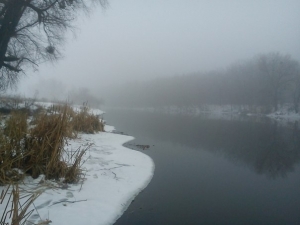донец