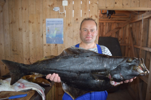 Море