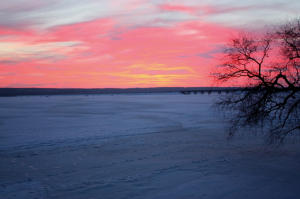 07.12.2014г. Харьковская обл. Волчанский р-н, п.Ст.Салтов, Печенежское вдхр., за бывшим УООР.