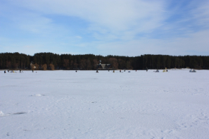 7 февраля 2016г. Украина, Харьковская обл., Волчанский р-н, Печенежское вдхр. "Катрино озеро".
