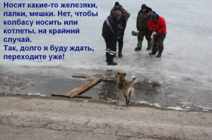 7 марта 2021г. Печенежская дамба.