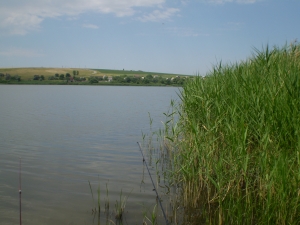 Берекское водохр. (Комправда)