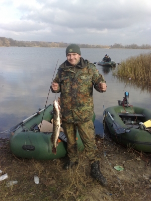 мерчик