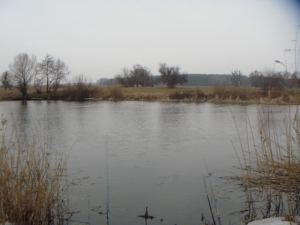 Донец