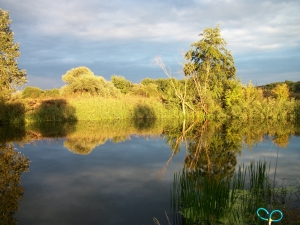 Сезон 2013