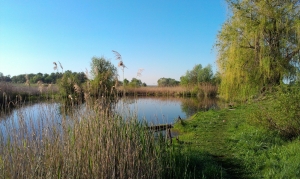 Рыбалачка