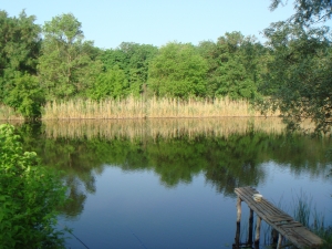 северский