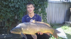 Сазан 5 кг