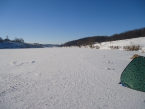 8.01.2015. ЗАРИЦКИЙ