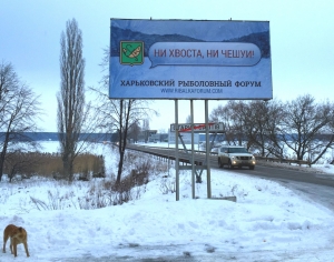 Зима 2015