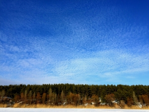 20.02.2015г Пески