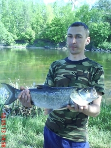 прогулки у реки
