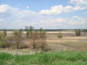 рыбалка, рыба и природа