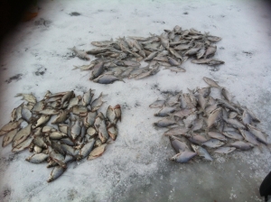 Муромское водохранилище