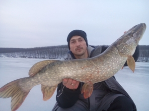 зима 2016