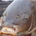 287