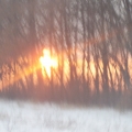 440