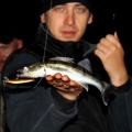 500