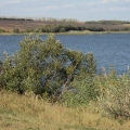95