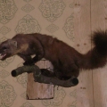1250