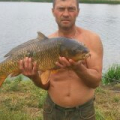 карп 6.800