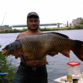 17.5кг