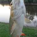 2503