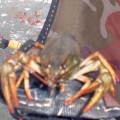 3900