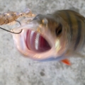 4387