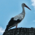4574