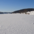 8.01.2015. ЗАРИЦКИЙ