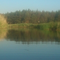 р. Орель